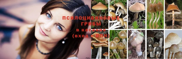 амф Верея