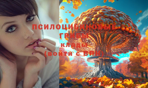 амф Верея