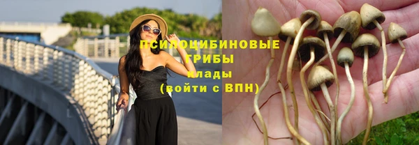 амф Верея