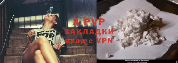 амф Верея