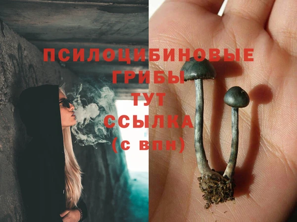 амф Верея